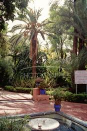 Image du Maroc Professionnelle de  Le Jardin Majorelle une pure merveille crée par le peintre français Jacques Majorelle, qui a eu le coup de foudre pour Marrakech. Yves Saint Laurent et Pierre Bergé font l’acquisition de ce havre de paix durant les années quatre-vingt où Yves Saint Laurent dessina plusieurs pièces. son voeux était de faire de ce parc une œuvre d’art vivante. On y découvre des plantes provenant des cinq continents, yuccas d’Océanie, lotus d’Asie, cactus d’Amérique, palmiers d’Afrique et cyprès d’Europe …, à Marrakech le Lundi 18 Août 1997. ((Photo / Abdeljalil Bounhar)